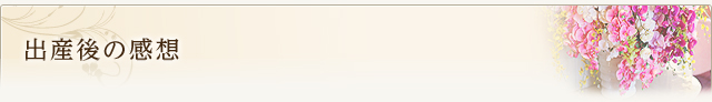 出産後の感想
